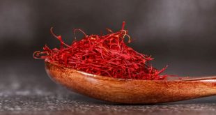 تعرف على فوائد الزعفران الصحية.. منها تقوية المناعة وتحسين المزاج