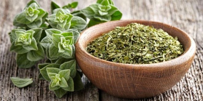 نصائح لتحسين صحة الكبد.. أهمها تناول الأطعمة الصحية وممارسة الرياضة
