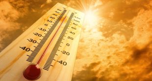 10 نصائح غذائية لمواجهة الطقس الحار