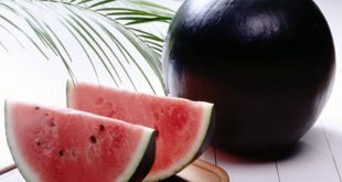5 أطعمة يمكن تناولها على معدة فارغة.. منها البطيخ والزبيب