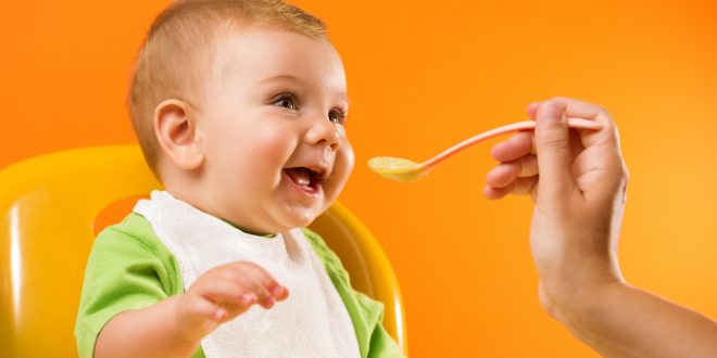 6 أطعمة تحتوي على عناصر غذائية مهمة للرضع