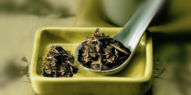 الشاي الأخضر مقابل القهوة الخضراء.. ما الأفضل لخسارة الوزن؟
