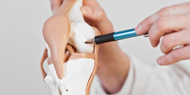 كيف تحافظ على صحة الغضروف؟ - 3 نصائح تحميك