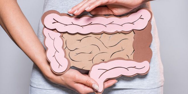 5 طرق سهلة للحفاظ على صحة أمعائك أثناء السفر