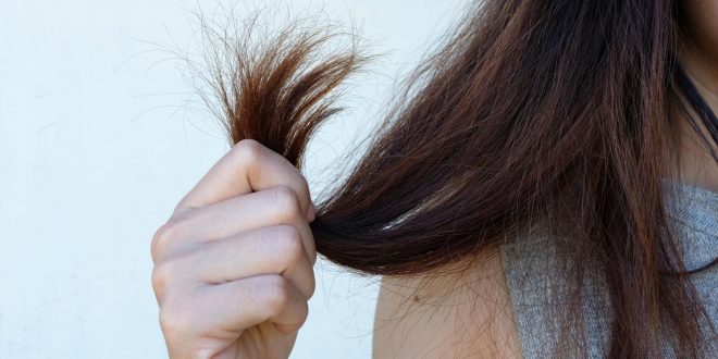 9 عادات سيئة تسبب ترقق الشعر.. منها الصبغات والتدخين