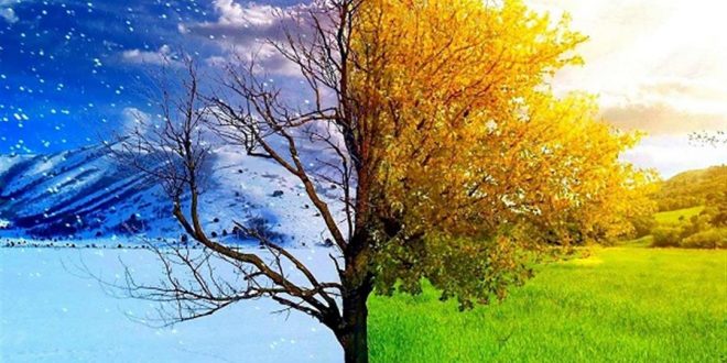 5 حالات مرضية قد تهددك عند تغير الفصول- بينها الحساسية