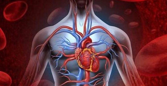 تعرف على أعراض متلازمة الشريان التاجي وتشخيصها