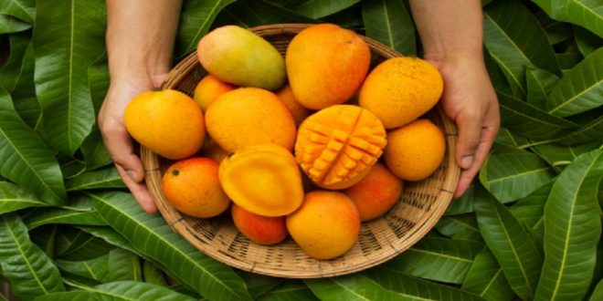 كل ما تريد معرفته عن حساسية المانجو من أعراض وأسباب