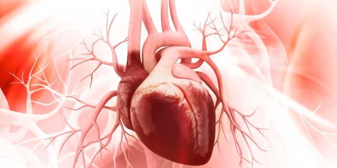 ما العلاقة بين أمراض القلب وارتفاع ضغط الدم؟