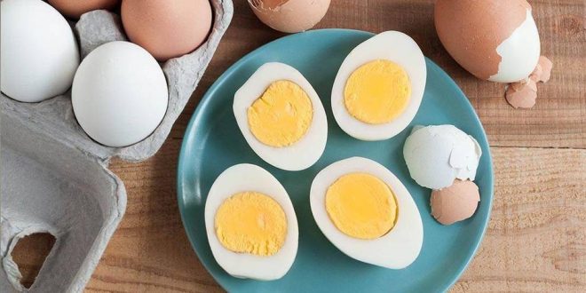 10 حقائق غريبة عن البيض! اليك التفاصيل