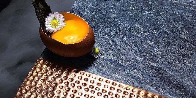 أكلات فرنسية ومعجنات..مطعم أمريكى يقدم قائمة طعام مميزة للكلاب