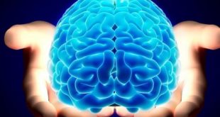 طبيب أعصاب يوصى بتناول الأسماك والمكسرات لتقوية صحة الدماغ
