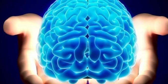 طبيب أعصاب يوصى بتناول الأسماك والمكسرات لتقوية صحة الدماغ