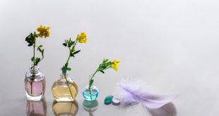 كيف تتم إعادة تدوير زجاجات العطور الفارغة للحفاظ على البيئة؟