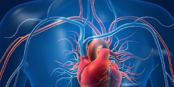 كيف يزيد الانخفاض في درجة الحرارة من خطر الإصابة بمرض الانسداد الرئوي المزمن؟