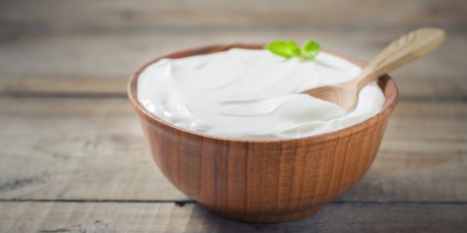 هل الزبادي يعالج الحموضة؟هل الزبادي يعالج الحموضة؟هل الزبادي يعالج الحموضة؟هل الزبادي يعالج الحموضة؟هل الزبادي يعالج الحموضة؟هل الزبادي يعالج الحموضة؟هل الزبادي يعالج الحموضة؟هل الزبادي يعالج الحموضة؟هل الزبادي يعالج الحموضة؟هل الزبادي يعالج الحموضة؟هل الزبادي يعالج الحموضة؟