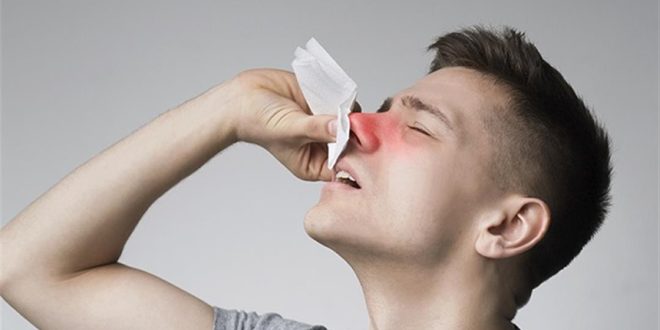 هل وضع الثوم في الأنف يعالج نزلات البرد؟