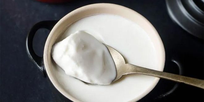 تعرف على فوائد تناول أطفالك للزبادى
