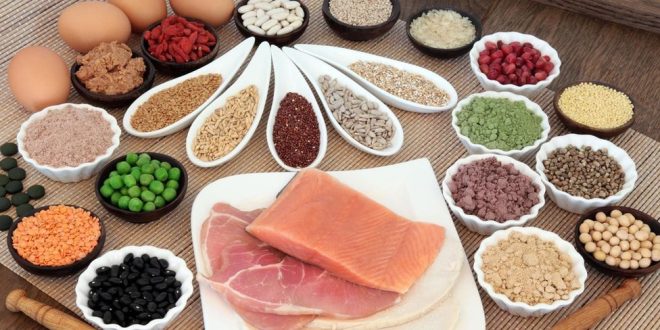 دور البروتينات و الكربوهيدرات فى فقدان الوزن