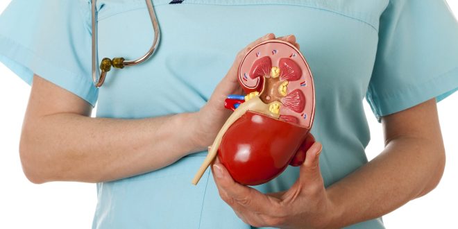 6 علامات تشير للإصابة بسرطان الكلى.. الإقلاع عن التدخين ضرورة