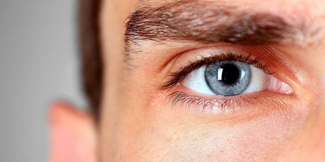 8 أطعمة يجب إضافتها لنظامك الغذائى للحفاظ على صحة العين أبرزها البيض