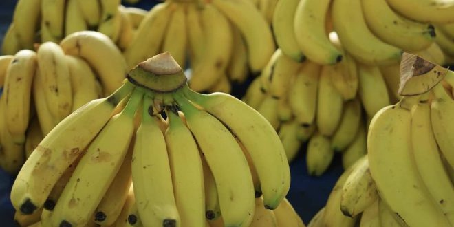 أغذية غنية بالكربوهيدرات لكنها صحية.. منها الموز