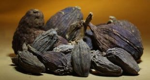 أغرب 5 أنواع توابل حول العالم.. الثوم الأسود الأبرز
