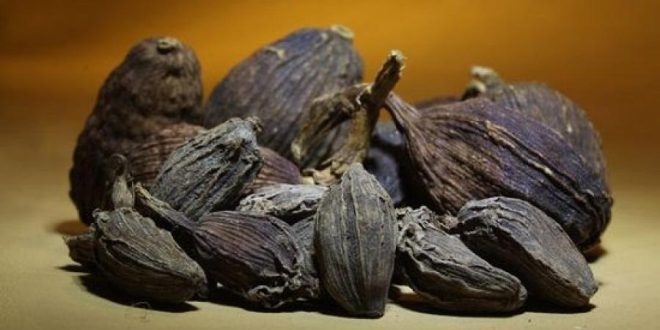 أغرب 5 أنواع توابل حول العالم.. الثوم الأسود الأبرز