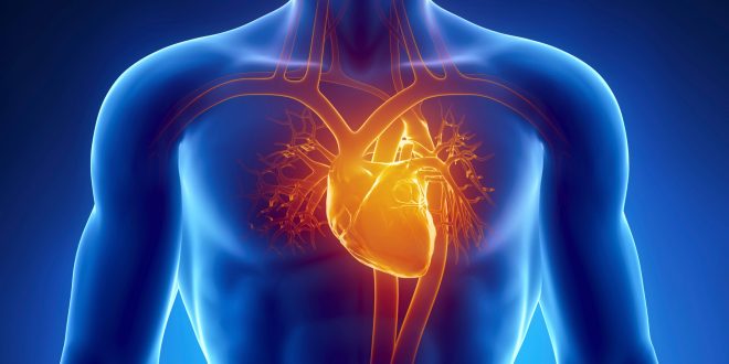 دراسة: الصيام لفترات قصيرة يقلل أعراض مرض التصلب العصبي المتعدد