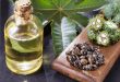 وصفات طبيعية تمنع تساقط الحواجب.. أبرزها الصبار وزيت الخروع