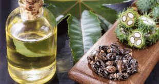 وصفات طبيعية تمنع تساقط الحواجب.. أبرزها الصبار وزيت الخروع