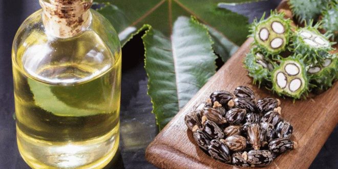 وصفات طبيعية تمنع تساقط الحواجب.. أبرزها الصبار وزيت الخروع