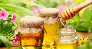 4 طرق لاستخدام العسل لفقدان الوزن.. اشربه على الريق مع الماء الدافئ