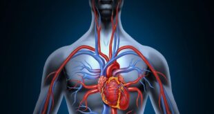 6 نصائح تساعدك على تنشيط الدورة الدموية في الجسم والحفاظ على صحة القلب