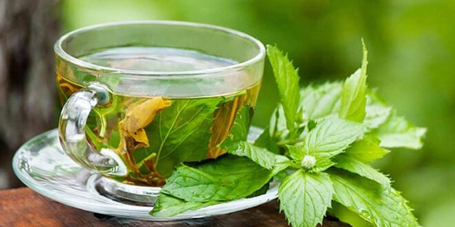 فوائد استخدام زيت النعناع.. يسكن ألم العضلات ويساعد فى علاج الالتهاب