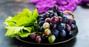 العنب الأسود والأحمر أكثر فائدة صحية من الأخضر