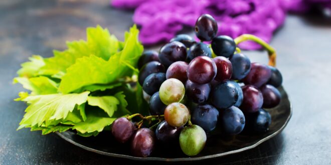 العنب الأسود والأحمر أكثر فائدة صحية من الأخضر