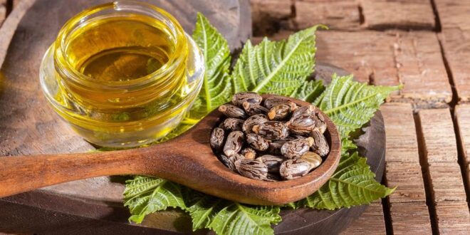 فوائد زيت الخروع للحصول على بشرة جميلة