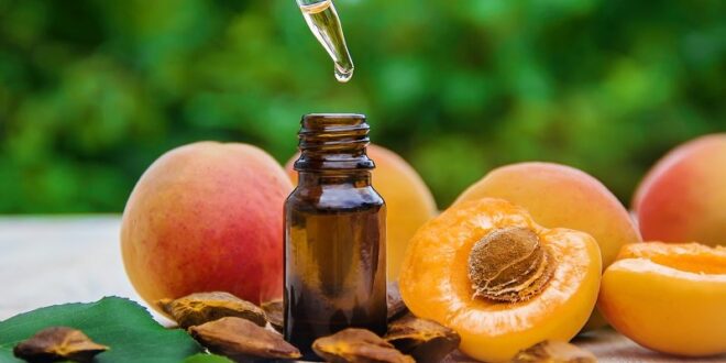 فى موسمه.. 8 استخدامات مختلفة لزيت المشمش وفوائده للبشرة