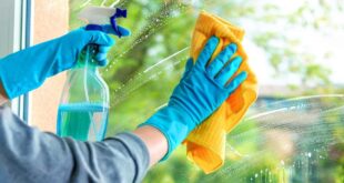 7 استخدامات مختلفة لملمع الزجاج.. منها التخلص من النمل