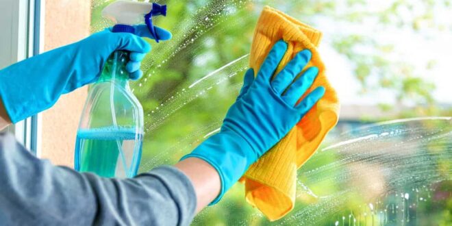 7 استخدامات مختلفة لملمع الزجاج.. منها التخلص من النمل