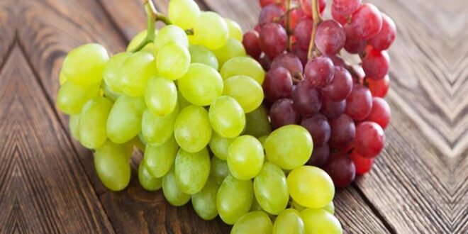 أيهما أفضل لمرضى السكر.. العنب الكامل أم العصير؟