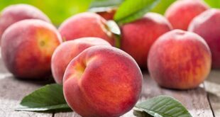 الفوائد الصحية للخوخ.. من مضاد الأكسدة إلى فقدان الوزن