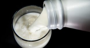 شرب الحليب بعد اللحوم.. هل يسبب أضرارًا؟