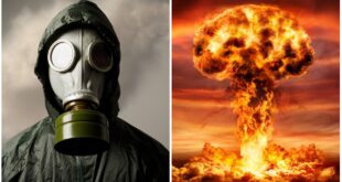 7 حيوانات يمكنها النجاة من آثار القنبلة النووية !