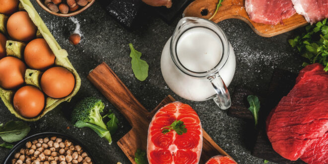 أطعمة غنية بالبروتين.. مفيدة ولا غنى عنها في جدولك الغذائي