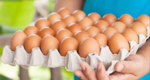 مبتكرها لم يجن ثروته منها.. "كرتونة البيض" اختراع يحقق 8 مليارات دولار سنويا