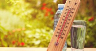 6 أطعمة ومشروبات تساعد على تبريد جسمك فى الطقس الحار