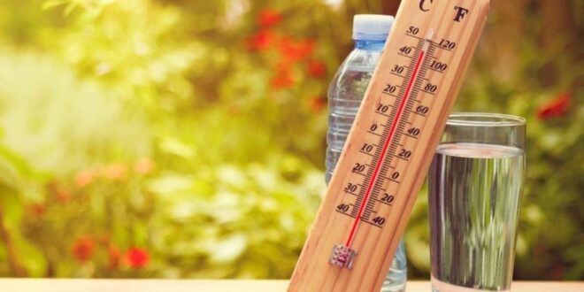 6 أطعمة ومشروبات تساعد على تبريد جسمك فى الطقس الحار