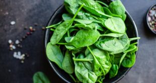 مواد غذائية تعزز وظائف الدماغ.. أبرزها السبانخ والأسماك